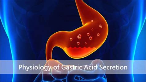 Basics Of Gastric Acid Secretion Ppt