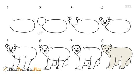 How To Draw A Bear Howtodrawpics