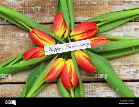 Happy Anniversary Card With Red And Yellow Tulips Stock Photo Alamy