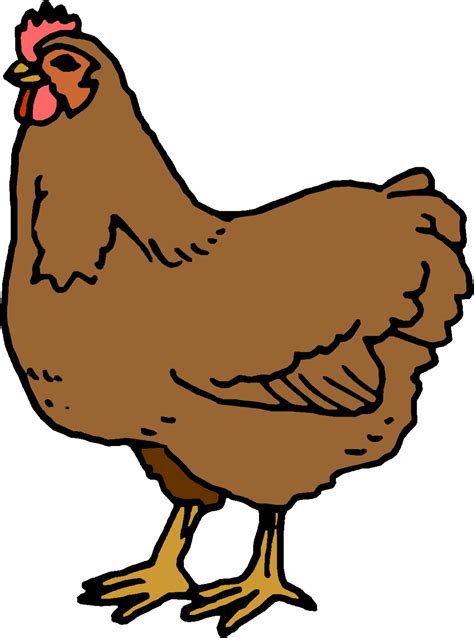 Finished Cartoon Chicken Hen Drawingtutorials Image Vector