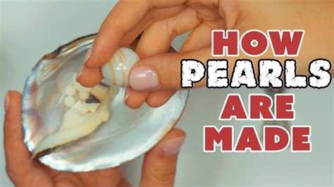 All About Pearls And How They Re Made YouTube