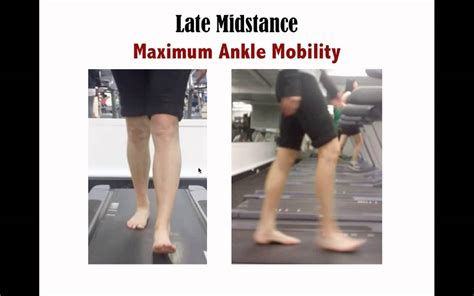 Walking Gait Assessment The Most Functional Movement Assessment With