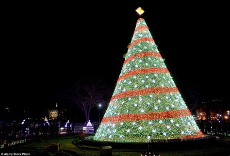 Mailonline Travel Reveals The Best Christmas Trees In The World Daily