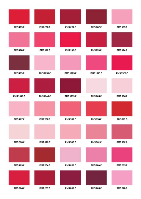 Pantone Shades Of Pink Greeting Card Ubicaciondepersonascdmxgobmx