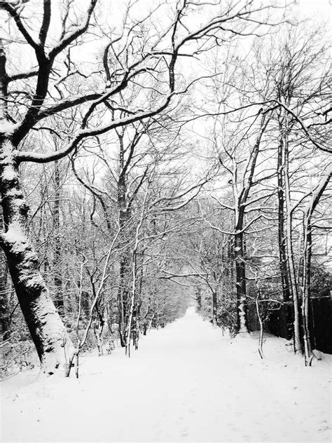 Snowy Road Free Stock Photo Public Domain Pictures