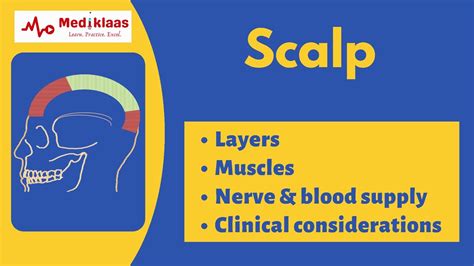 Scalp Layers Muscles Anatomy Mediklaas Youtube