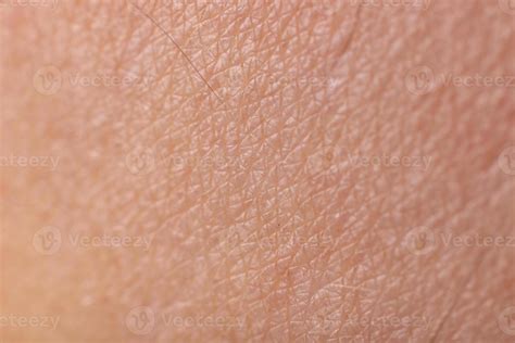 Human Skin Texture Stock Photo At Vecteezy