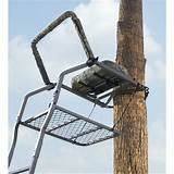 Climbing Tree Stands For Sale