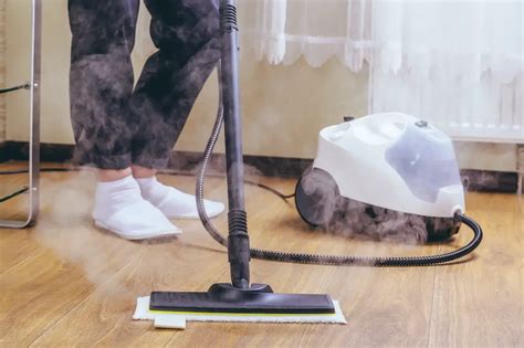 Dupray One Steam Cleaner Review For 2023 Sleek Dwellings