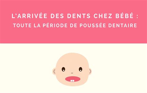 La poussée dentaire chez bébé Ce n est pas une partie de plaisir