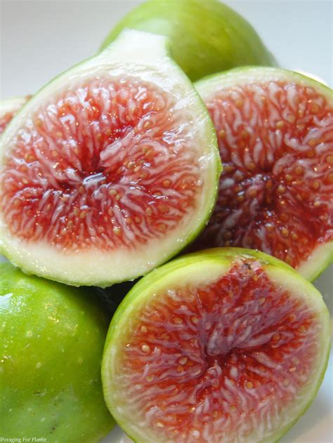 Figs are generally pruned in late autumn after all fruit has been picked or late winter before it breaks dormancy. Fig — California Tropical Fruit Tree Nursery