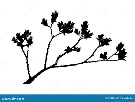 Silhouette Of A Tree Branch With Open Leaves Stock Vector
