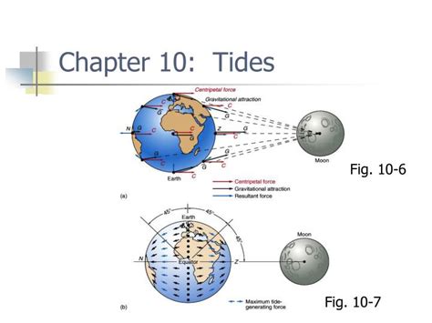 Ppt Chapter 10 Tides Powerpoint Presentation Free Download Id156727