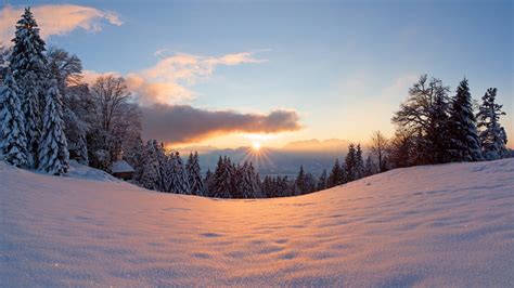 Winter Schnee Sonne Licht Wald Bäume Sonnenuntergang 1920x1080