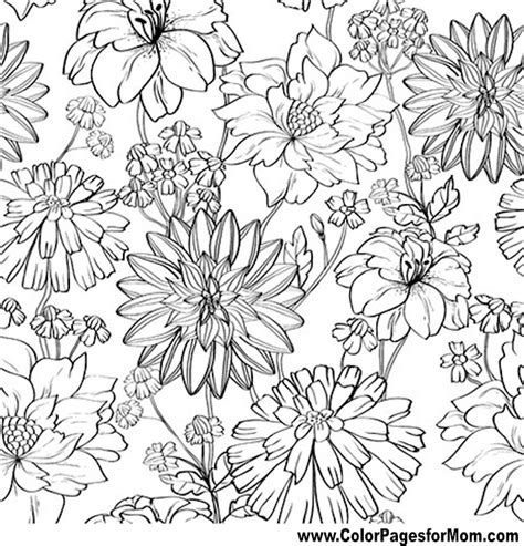 Advanced Coloring Pages Flower Coloring Page 81