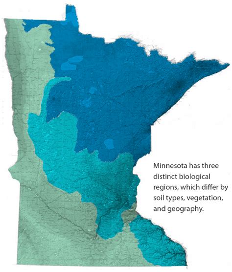 Minnesota Topographics Biome Map Largepng 840×987 Map Biomes