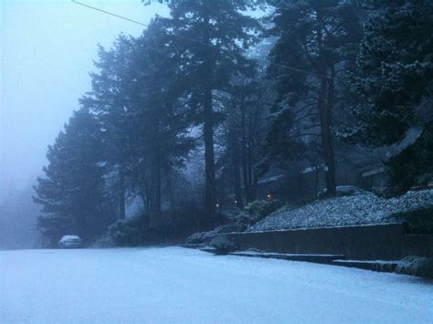 Snow falling in higher elevations of Portland, significant snowfall to ...
