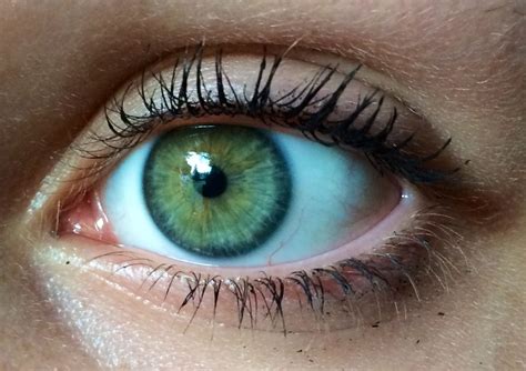 My Eyes Are Like Green And Blue Ring Around The Outside Is Dark Blue