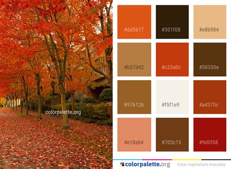 Autumn Nature Leaf Color Palette | colorpalette.org