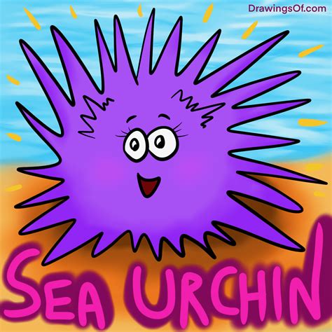 Sea Urchin Drawing Cute Easy Cartooning Drawings Of