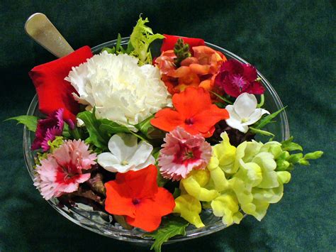To explore which flowers are edible, try starting with the following 15 varieties that will help get you started on a flower power program for everything from starter salads to sweet treats. Rebecca Cunningham: Can You Buy Edible Flowers At Whole ...