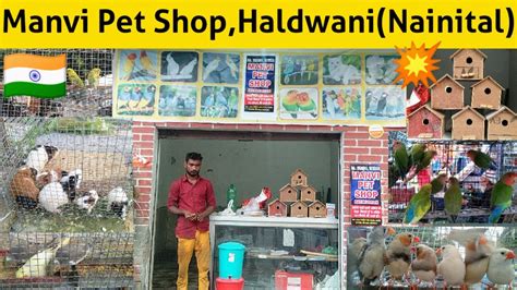 Manvi Pet Shop Haldwanikathgodam Nainital Uttarakhand Uttaranchal