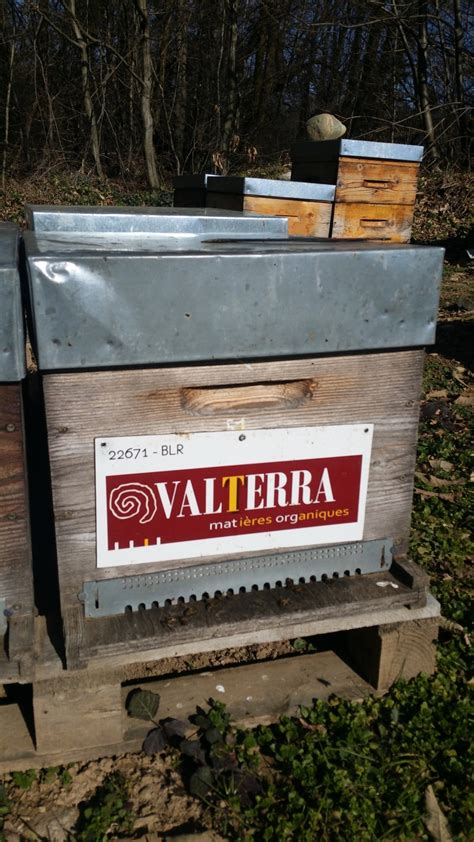 Un homemade qui séduira apiculteurs et abeilles. L'entreprise VALTERRA MATIERES ORGANIQUES parraine des abeilles