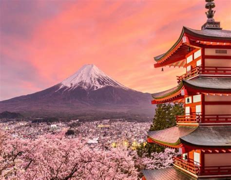 25 Curiosidades De Japón Que Te Gustara Conocer
