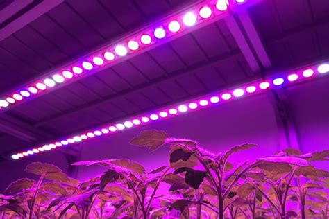 15 Led Lighting Solutions For Your Greenhouse Greenhouse Grower