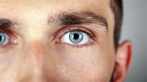 Benign Eyelid And Eye Growths Fact Sheets Yale Medicine