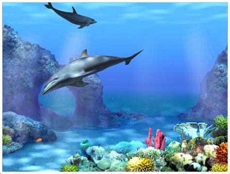 3d Yunuslar Ekran Koruyucu İndir Living 3d Dolphins Screensaver
