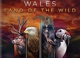Wales: Land of the Wild TV Show Air Dates & Track Episodes - Next Episode
