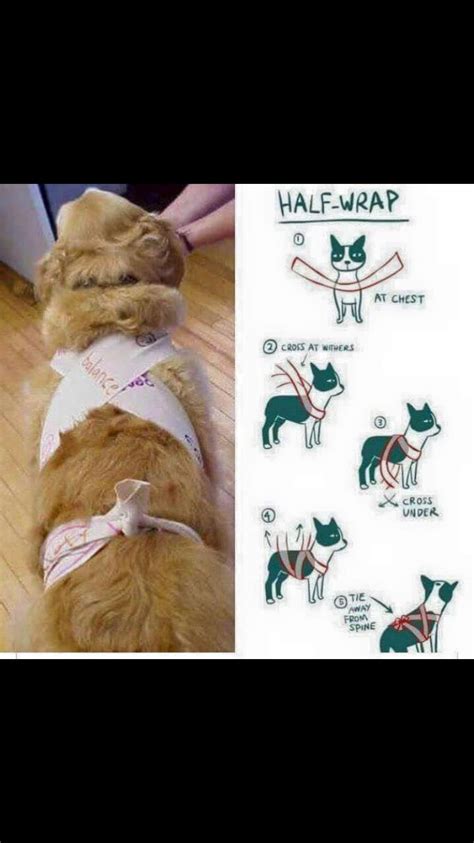 The thundershirt offers a gentle and constant pressure. DIY thunder shirt | Dogs, fireworks, Animal welfare ...