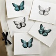 Disegnare farfalle • la stessa farfalla disegnata con cinque tecniche ...