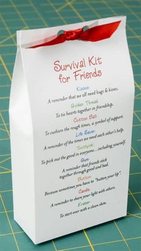 Birthday Survival Kit Survival Kit Ts Sister Ts Diy