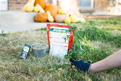 How To Winterize Your Lawn And Garden In Fall