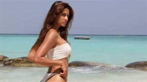 Disha Patani Scorches Up The Internet With Her Bikini Picture Krishna