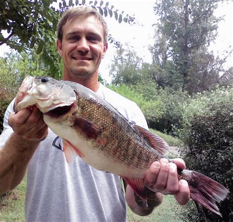 Florida Record Shoal Bass Caught In Chipola River Outdoors Unlimited