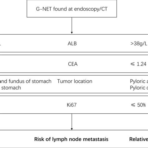 Proposed Approach For The Risk Evaluation Of Lymph Node Metastasis In
