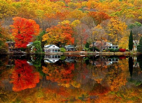 Autumn Lakeside Water Reflection Trees Houses Hd Wallpaper Peakpx