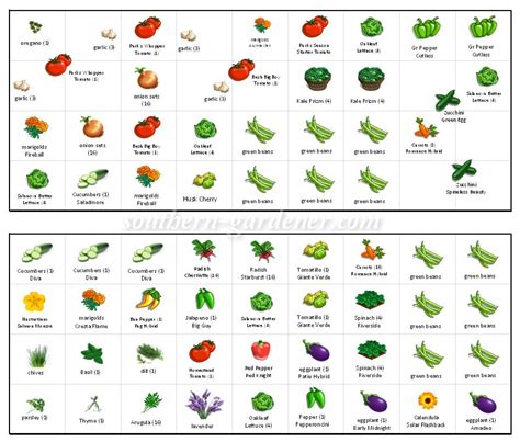 Summer Vegetable Garden Layout