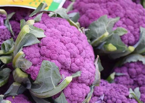 Purple Broccoli Recipe