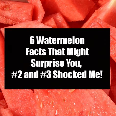 6 Watermelon Facts That Might Surprise You 2 And 3 Shocked Me