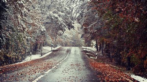 Winter Landscape Road Snow Leaves Wallpapers Hd Desktop And