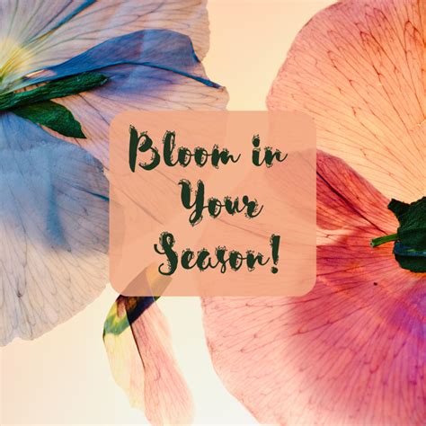 A Word Of Encouragement Bloom In Your Season Emergent Word