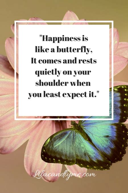 Happiness Is Like A Butterfly Quote Butterfly Quotes Picture Quotes