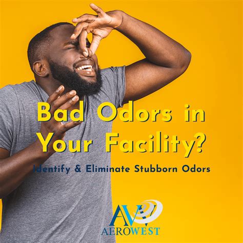 Parakeets are social little creatures, and generally, they love to spend time with their owners. Why Do You Have A BAD Smell in Your Building? - AeroWest