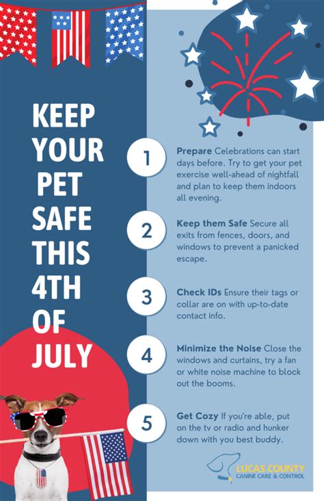 Keep Your Pets Safe This Fourth Of July Lucas County Canine Care