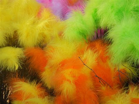 Colorful Easter Feathers Free Stock Photo Public Domain Pictures