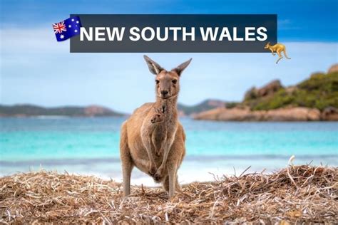 Try Holidays In Nsw Australia Best New South Wales Holiday Locations